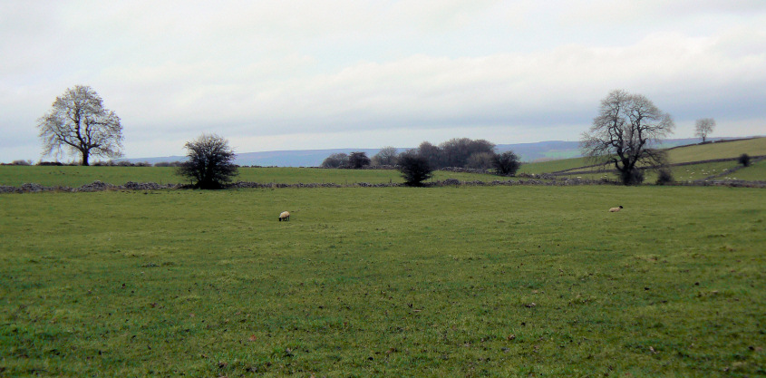 Stanton Moor Stanton Moor